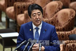 Uy tín Thủ tướng Nhật Bản sụt giảm do &#39;lùm xùm&#39; của vợ