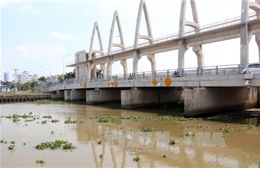 Năm nay hạn, mặn không khốc liệt như năm ngoái?