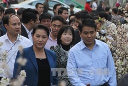 Chủ tịch Quốc hội tham quan triển lãm hoa anh đào tại Hà Nội