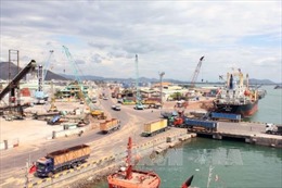 Bộ Giao thông Vận tải hủy hai văn bản bán cổ phần tại cảng Quy Nhơn