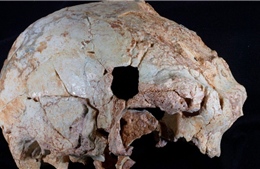 Xương sọ bí ẩn 400.000 năm tuổi khiến giới khoa học &#39;đau đầu&#39;