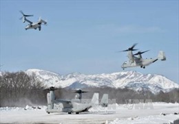 Dù người dân Nhật Bản phản đối, Mỹ vẫn điều thêm 5 máy bay Osprey tới căn cứ Yokota
