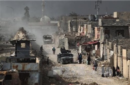 Chiến dịch Mosul vào giai đoạn cuối, IS hoặc đầu hàng hoặc bị tiêu diệt