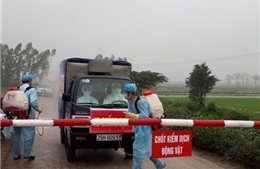Liệu Việt Nam có đủ khả năng chống cúm A(H7N9)?