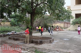 Trường chuẩn quốc gia, học sinh đi vệ sinh ở… đống rác