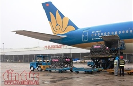 Vietnam Airlines vận chuyển miễn phí máy lọc thận nhân tạo cho Bệnh viện Thận Hà Nội