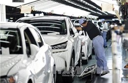 Toyota đầu tư 240 triệu bảng nâng cấp nhà máy tại Anh