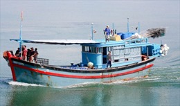 Tàu cá cùng 10 thủy thủ Việt Nam bị bắt ở Brunei
