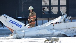 Canada: Hai máy bay đâm nhau rơi xuống khu mua sắm, nhiều người thương vong