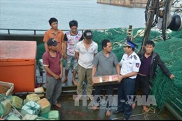 Lai dắt tàu cá cùng 9 ngư dân bị nạn về đất liền an toàn