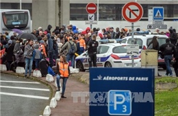 Kẻ giật vũ khí binh sĩ tại sân bay Pháp phê ma túy và say rượu