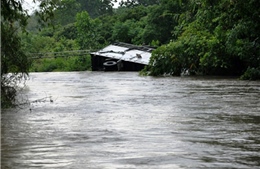 Tìm thấy thi thể nạn nhân và xe ô tô rơi xuống sông La Ngà, Bình Thuận