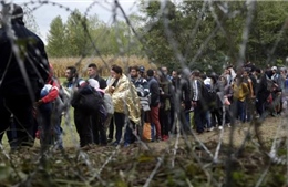 Hungary lập căn cứ quân sự biên giới chặn người nhập cư 