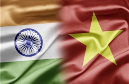 Thúc đẩy quan hệ hợp tác phát triển Việt Nam - Ấn Độ lên tầm cao mới 