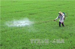 Bất cập cho vay giảm tổn thất trong nông nghiệp tại Đồng Nai 
