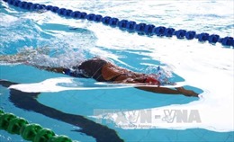 Khai mạc Giải Bơi - Lặn vô địch quốc gia bể 25 m 