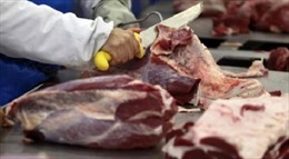 Mexico ngừng nhập khẩu thịt từ Brazil do bê bối &#39;thịt bẩn&#39;