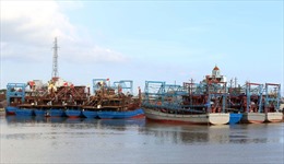Nam Định khai thác hải sản bền vững 