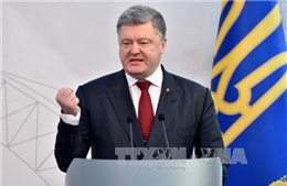 Ukraine đề xuất Mỹ trao cấp quy chế đồng minh chủ chốt ngoài NATO