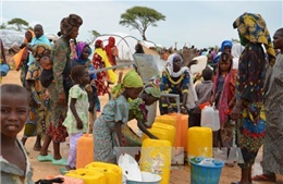 LHQ phản đối Cameroon cưỡng ép hồi hương người tị nạn Nigieria
