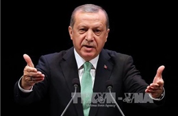EU triệu Đại sứ Thổ Nhĩ Kỳ vì phát biểu &#39;gây sốc&#39; của Tổng thống Erdogan