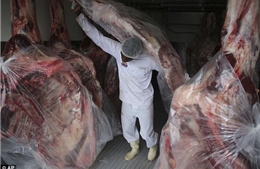 Nhiều nước yêu cầu Brazil tạm ngừng xuất khẩu thịt