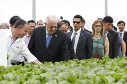 Tổng thống Israel và Phu nhân thăm Dự án Nông nghiệp ứng dụng công nghệ cao VinEco Tam Đảo 