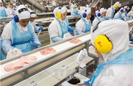 Brazil khẳng định chất lượng hệ thống kiểm định vệ sinh thực phẩm
