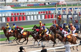 Khánh thành trường đua ngựa Thiên Mã – Madagui 