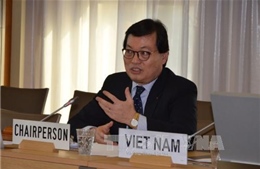 Họp hội đồng Nhân quyền LHQ: Việt Nam nhấn mạnh đối thoại để giải quyết bất đồng