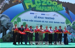 Vườn thú FLC Zoo Safari Park Quy Nhơn đón khách từ 26/3