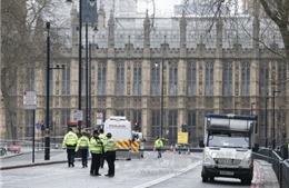Chưa rõ động cơ của kẻ tấn công bên ngoài tòa nhà Quốc hội Anh