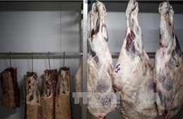 Bê bối &#39;thịt bẩn&#39; khiến xuất khẩu của Brazil có nguy cơ lao dốc