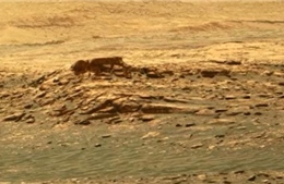 Hình ảnh giật mình về ‘người ngoài hành tinh’ trên Sao Hỏa