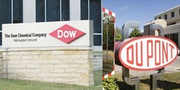 EU "bật đèn xanh" sáp nhập hai tập đoàn hóa chất Dow Chemical và DuPont của Mỹ
