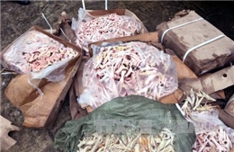 Bắt giữ 700kg chân gà rút xương nhập lậu từ Lào