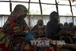 3000 người Somalia sơ tán mỗi ngày do hạn hán nghiêm trọng