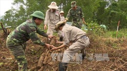 Đoàn Dự án Cây hòa bình Việt Nam tìm hiểu đất nước, con người Việt Nam