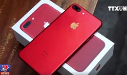 Hơn 130 chiếc iPhone 7 đỏ trị giá gần 3 tỷ đồng nhập lậu qua đường hàng không