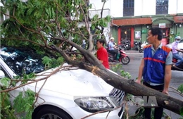 Thành phố Hồ Chí Minh xuất hiện mưa lớn bất thường giữa mùa khô