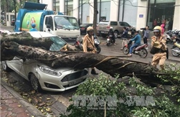 Ngày 1/4, miền Bắc trời rét, miền Trung mưa đá, gió giật