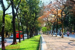 Con đường lãng mạn nhất Hà Nội vào mùa lá đỏ đẹp như châu Âu