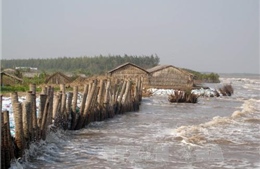 Tìm hướng đi bền vững trước biến đổi khí hậu 