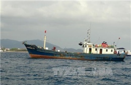 Lai dắt tàu cá bị hỏng máy cùng 10 ngư dân về đảo Lý Sơn an toàn 