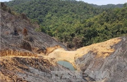 Chuyển cơ quan Công an điều tra vụ phá rừng quy mô lớn tại Đắk Nông