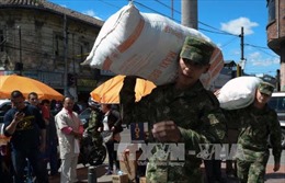  Vụ lở đất tại Colombia: Số người chết tăng lên 286 người
