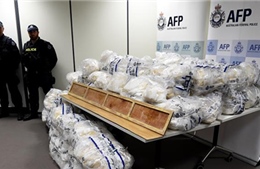 Gần nghìn kg ma túy đá giấu trong hộp ván lát sàn Trung Quốc