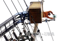 Đà Nẵng đảm bảo cấp điện an toàn phục vụ APEC