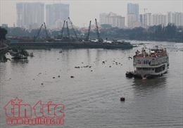  Buýt đường sông tại TP Hồ Chi Minh sẽ đưa vào hoạt động vào tháng 6