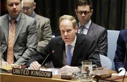 Hồi đồng Bảo an Liên Hợp quốc hoãn bỏ phiếu về nghị quyết liên quan đến Syria 
